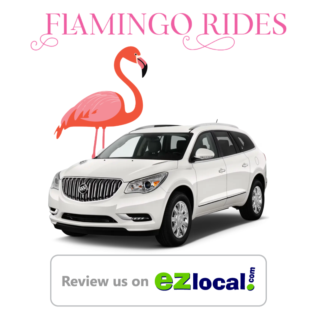 Flamingo Rides Image